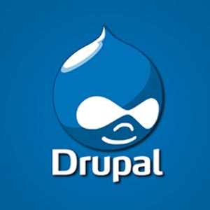 Google Shopping para Drupal